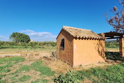 Finca i Ginestar, Tarragona, Ginestar - € 17.000 | Ref: CC842 - foto 5